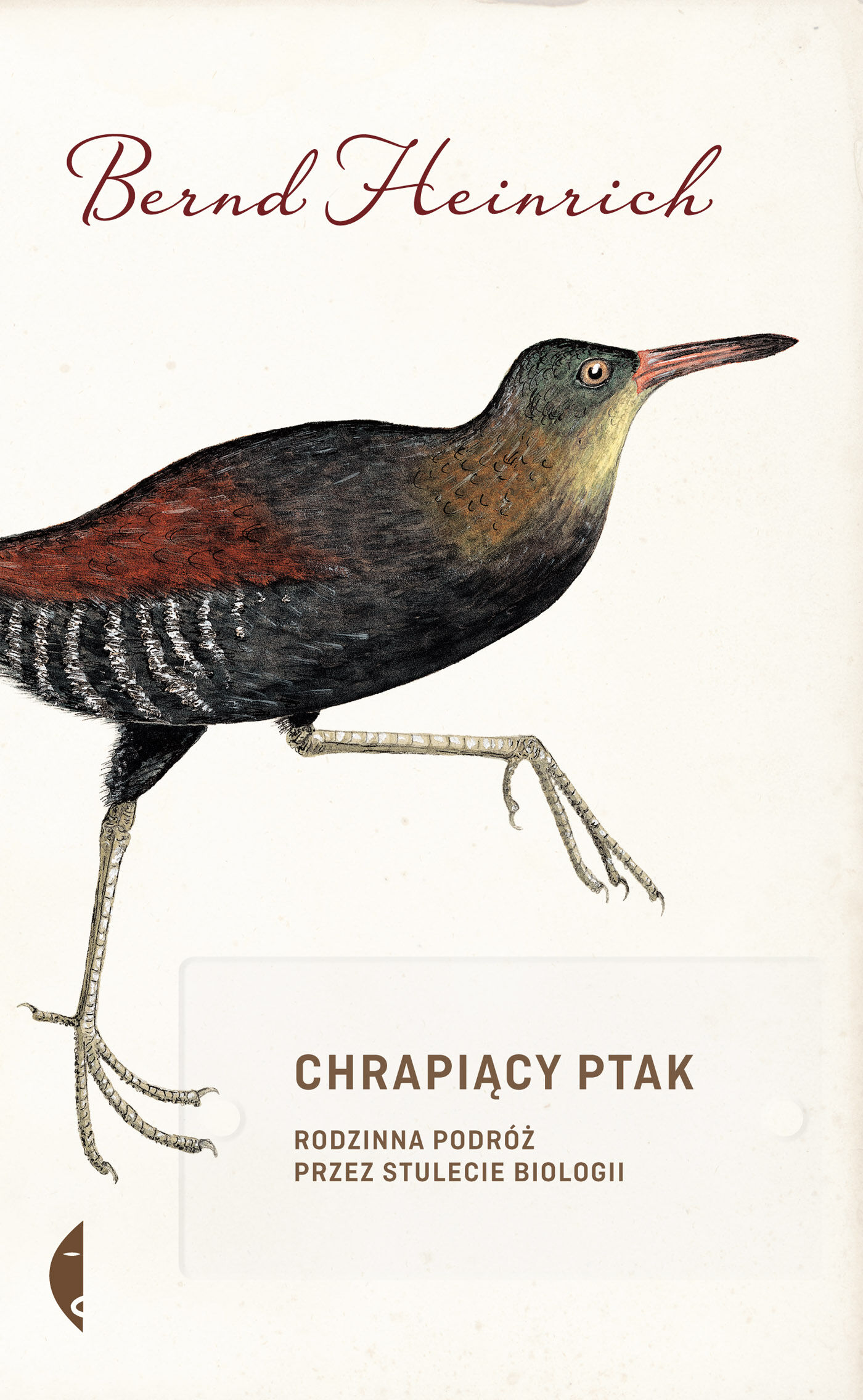 Chrapiący ptak (e-book)