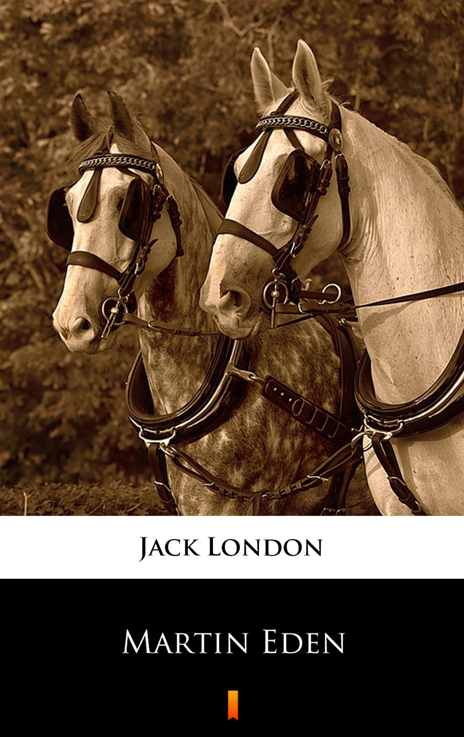 Martin Eden (e-book)
