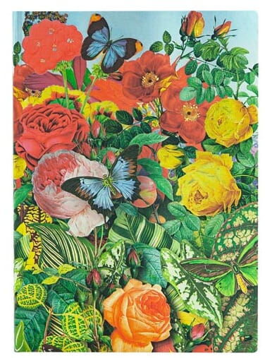 Notatnik Butterfly Garden midi linia FB6415-2