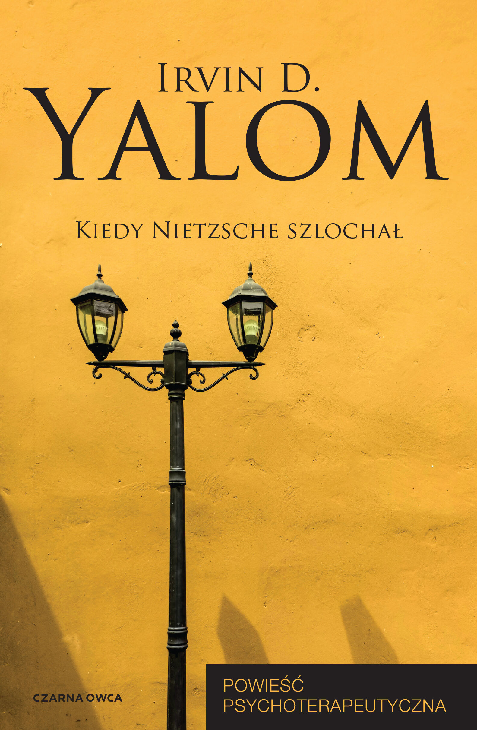 Kiedy Nietzsche szlochał (e-book)