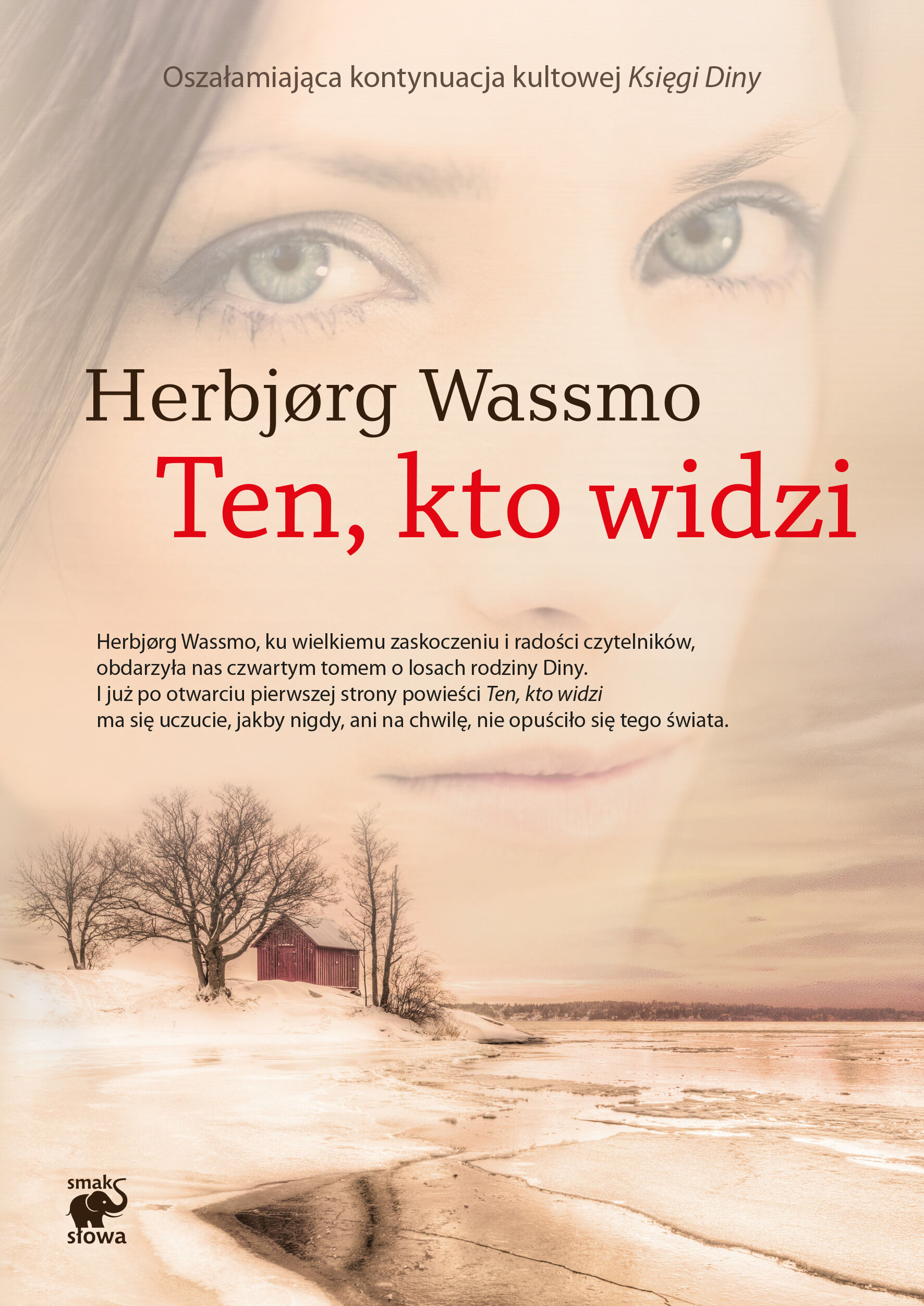 Ten, kto widzi (e-book)