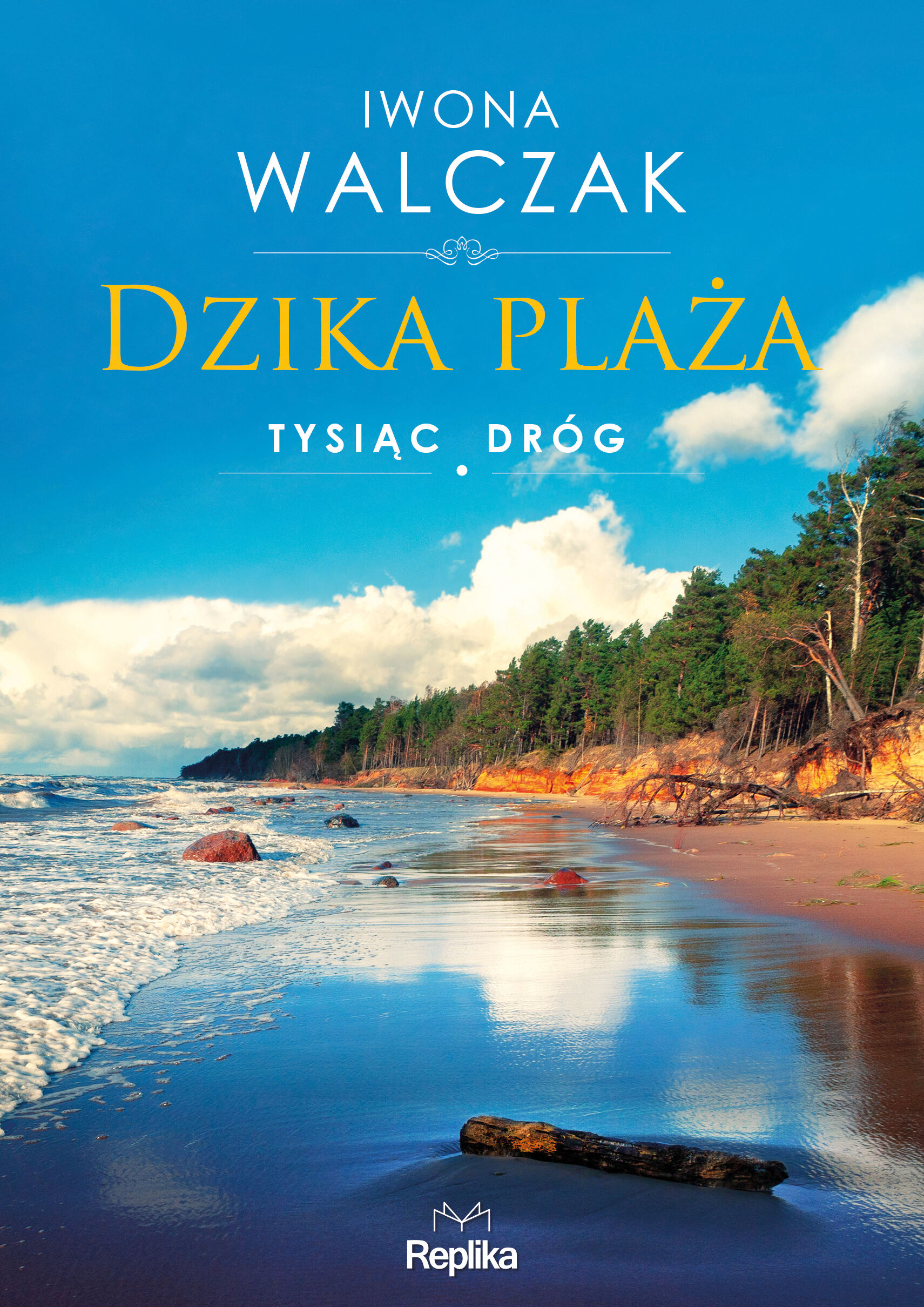 Dzika plaża. Tysiąc dróg (e-book)