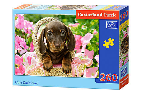 Puzzle 260 uroczy jamnik