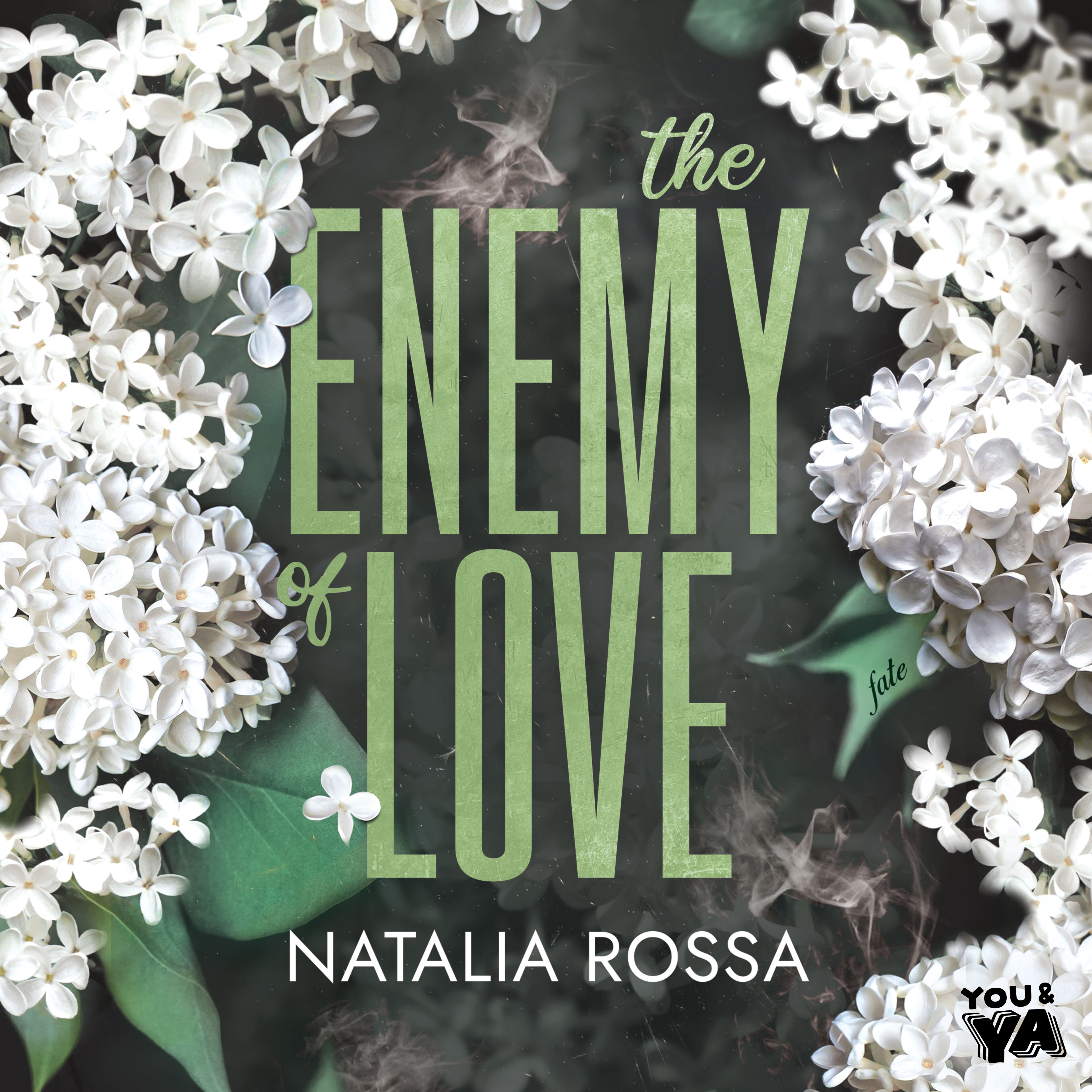 The Enemy of Love (audiobook MP3)