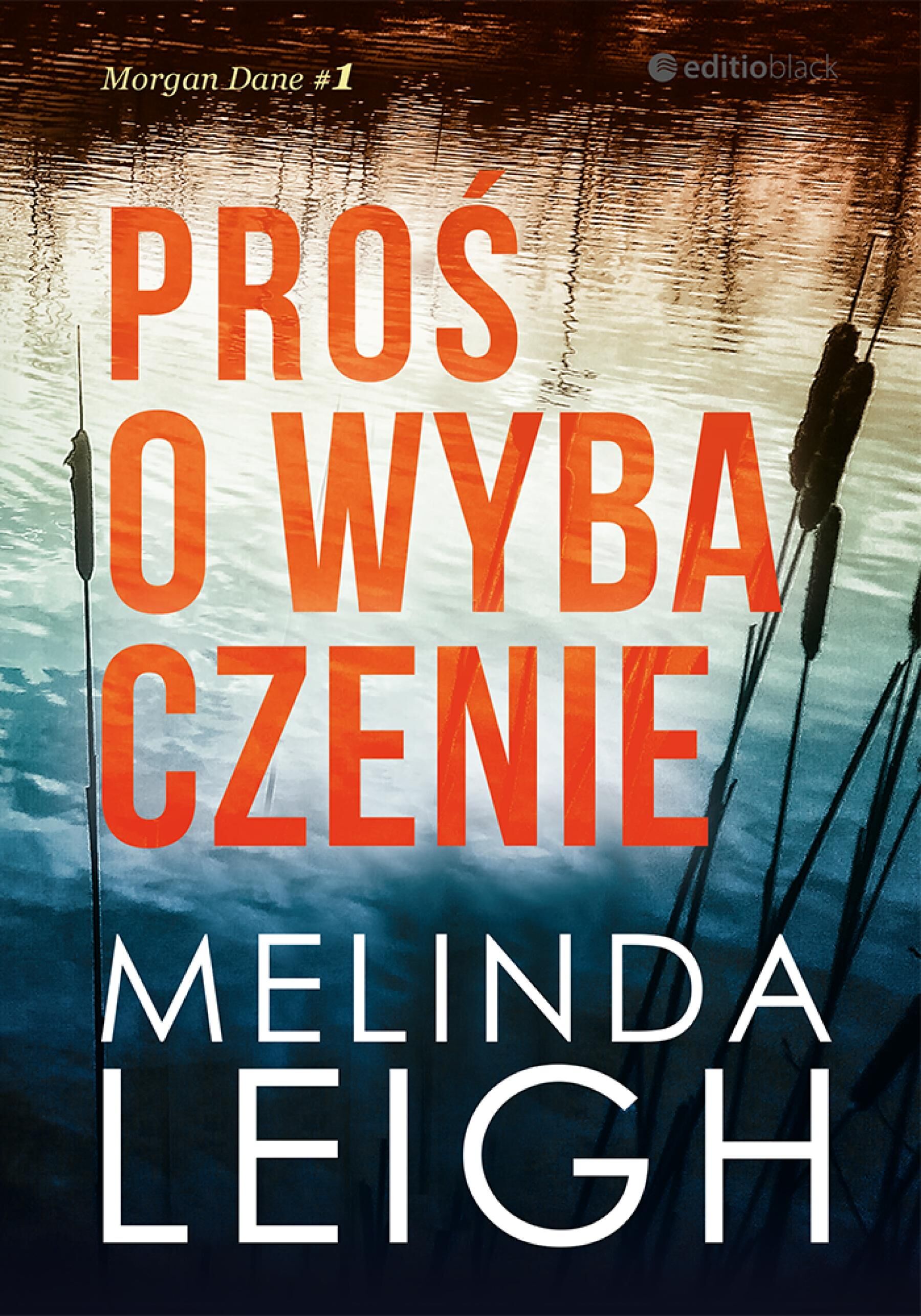 Proś o wybaczenie (e-book)