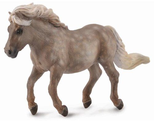 Kucyk Shetland Silver Dapple