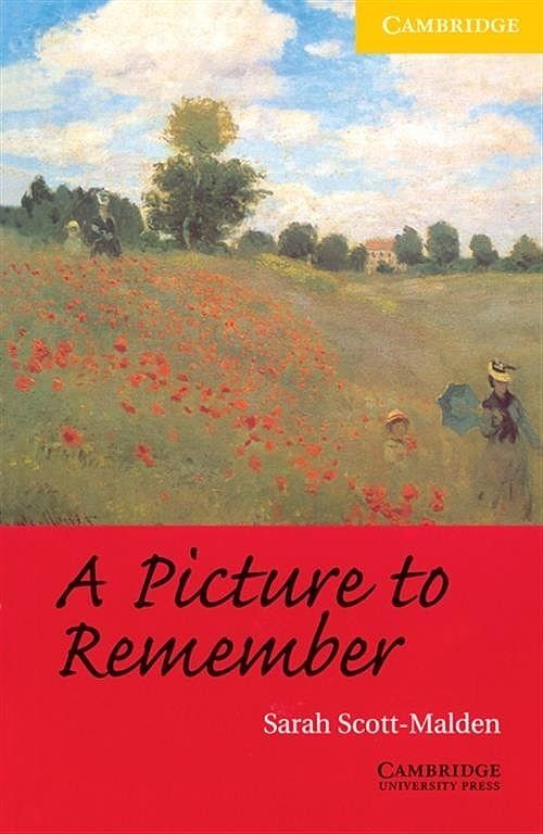 A Picture to Remember