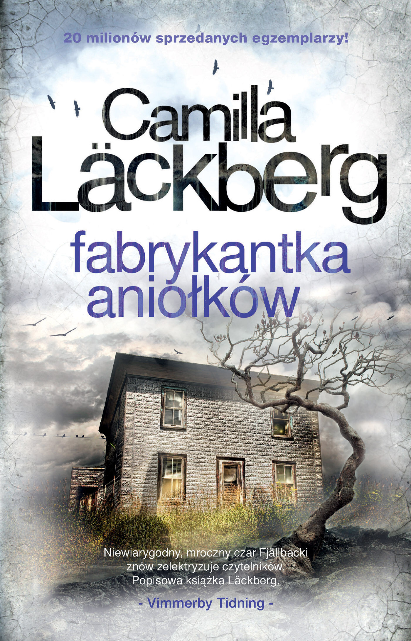 Fabrykantka aniołków (e-book)