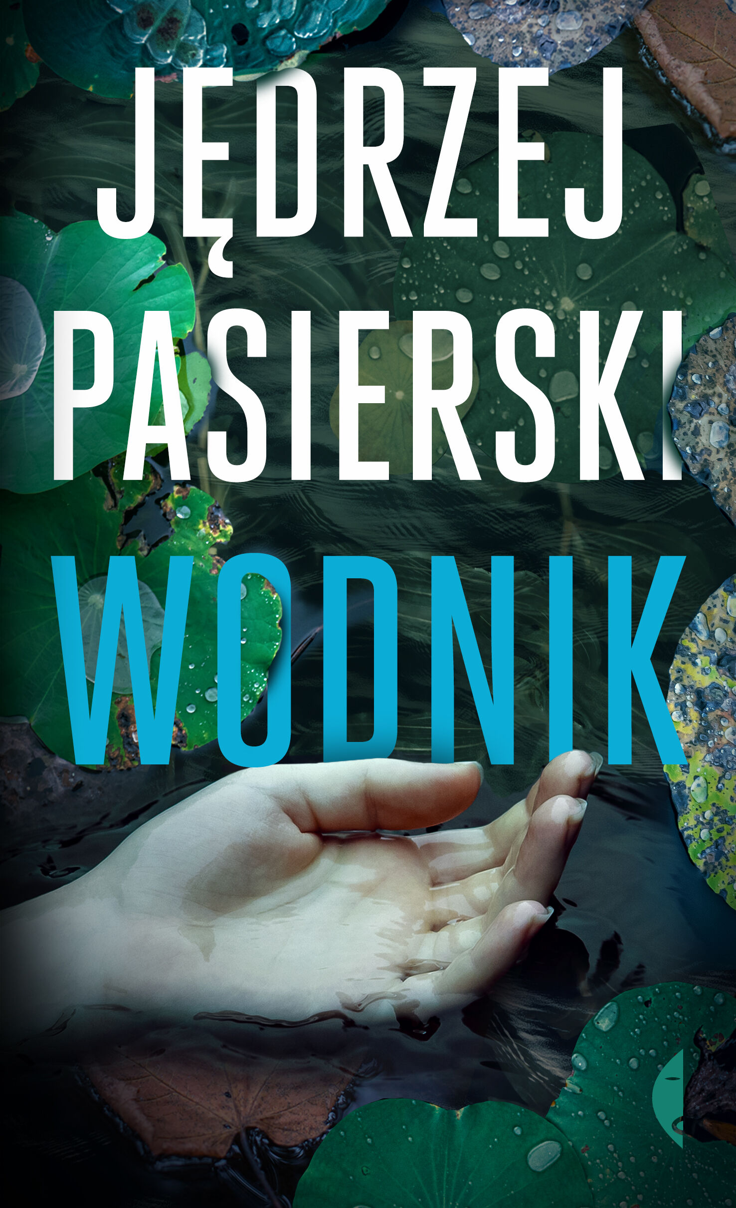 Wodnik (e-book)