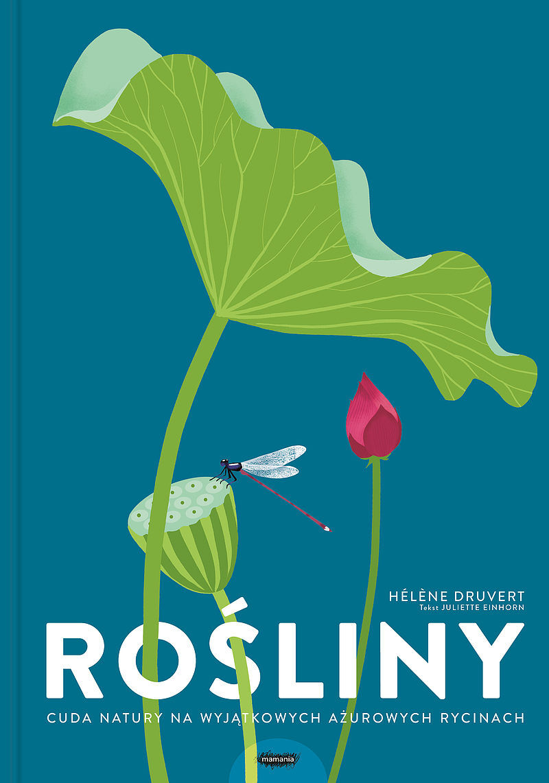 Rośliny. Cuda natury na wyjątkowych ażurowych rycinach.