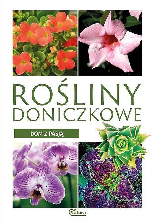 Rośliny doniczkowe