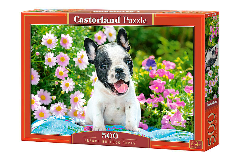 Puzzle 500 szczenię buldoga francuskiego b-53650