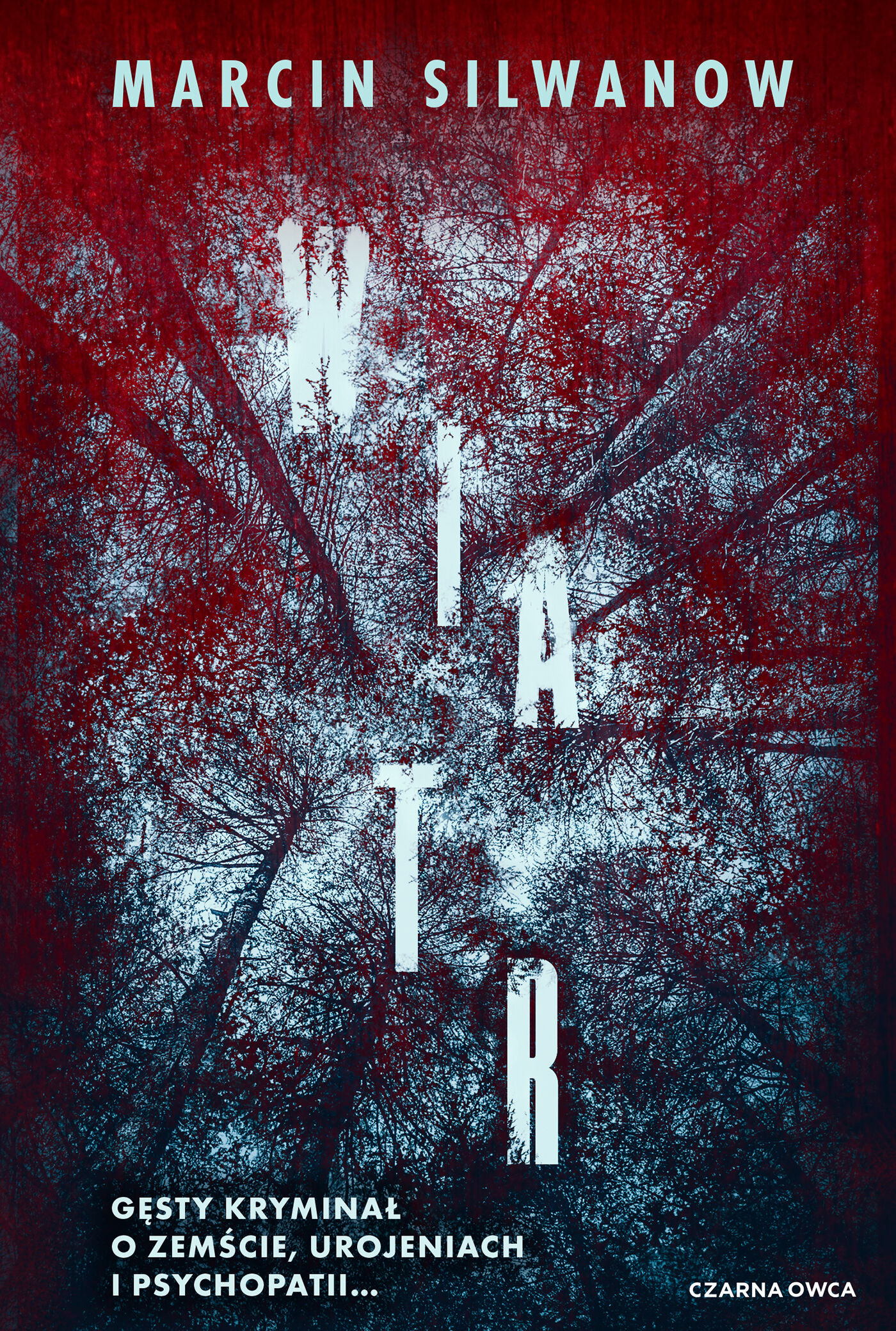 Wiatr (e-book)