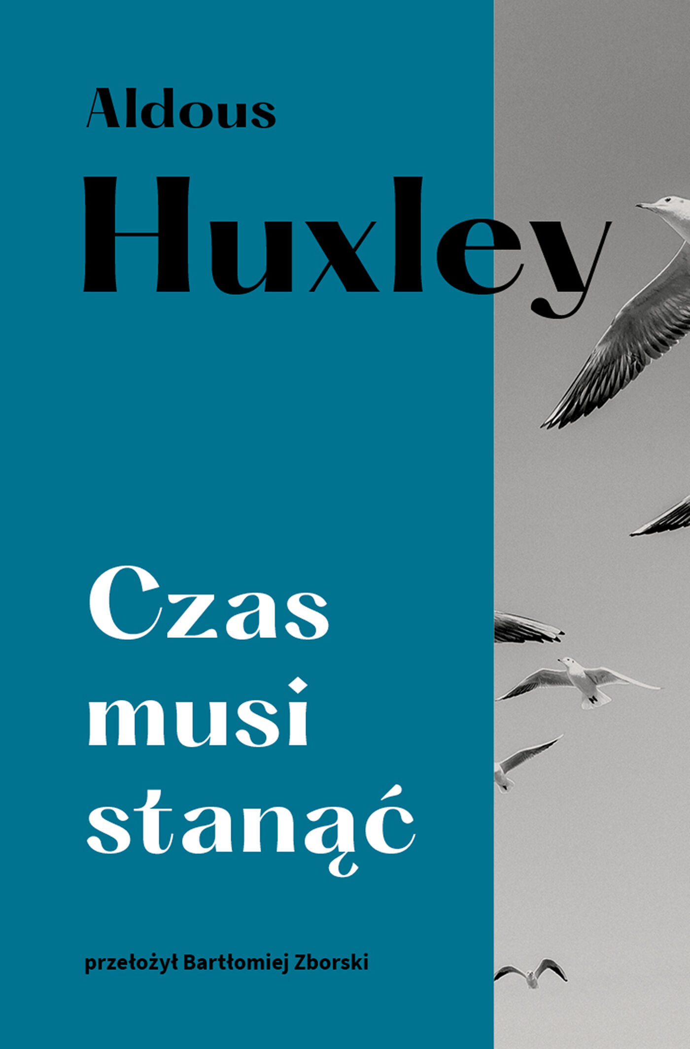 Czas musi stanąć (e-book)