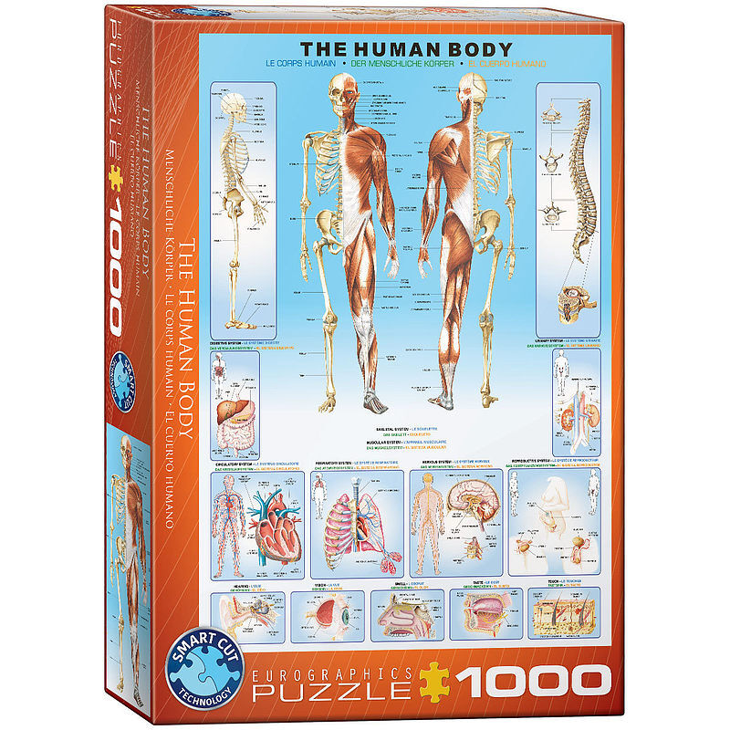 Puzzle 1000 the human body 6000-1000