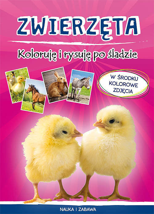 Zwierzęta Koloruję i rysuję po śladzie