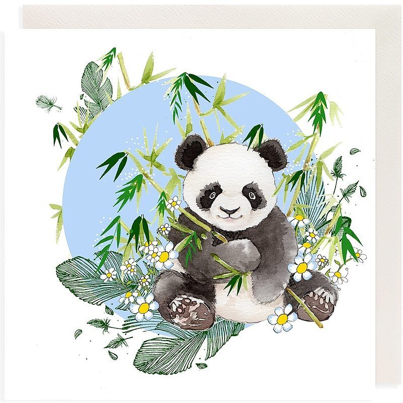 Karnet swarovski kwadrat cl2012 panda