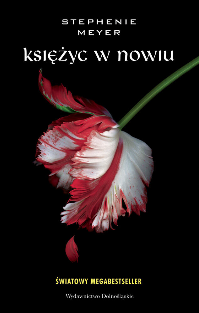 Księżyc w nowiu (e-book)