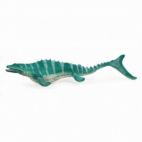 Mosasaurus slh15026