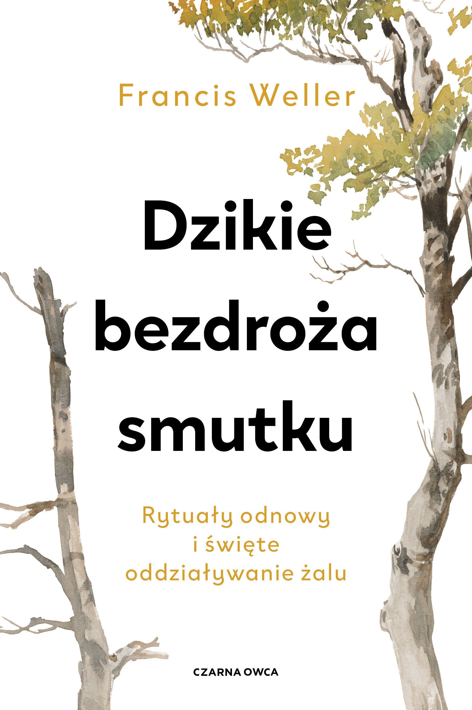 Dzikie bezdroża smutku (e-book)