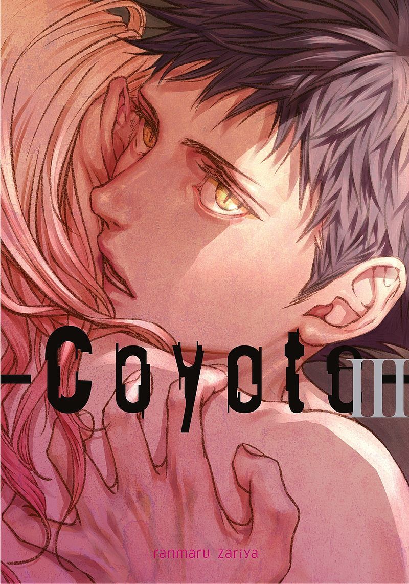 Coyote - 03