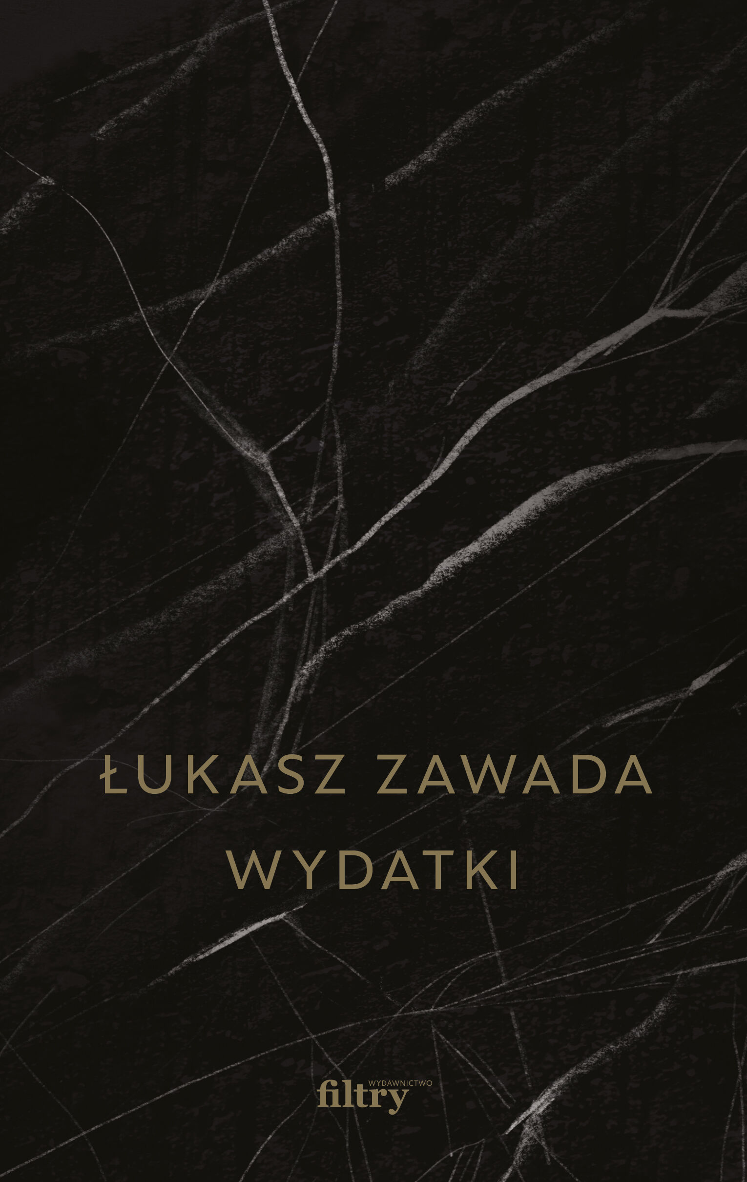 Wydatki (e-book)