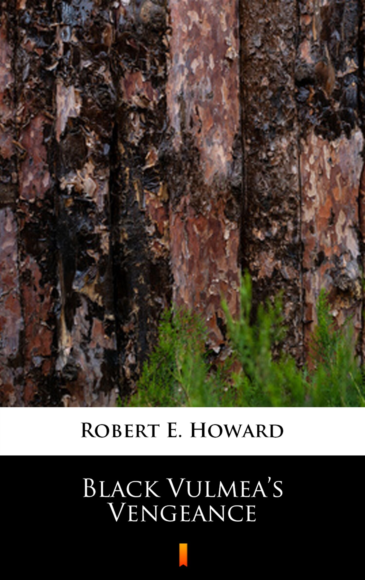 Black Vulmea’s Vengeance (e-book)