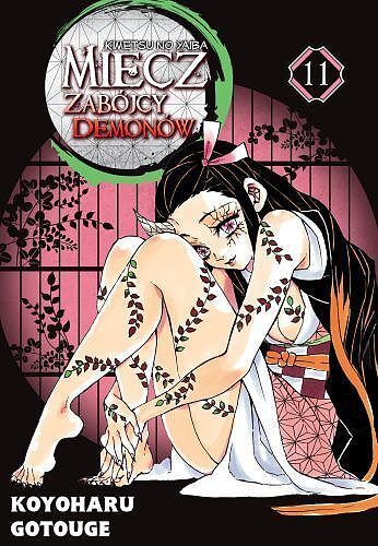 Miecz zabójcy demonów - 11