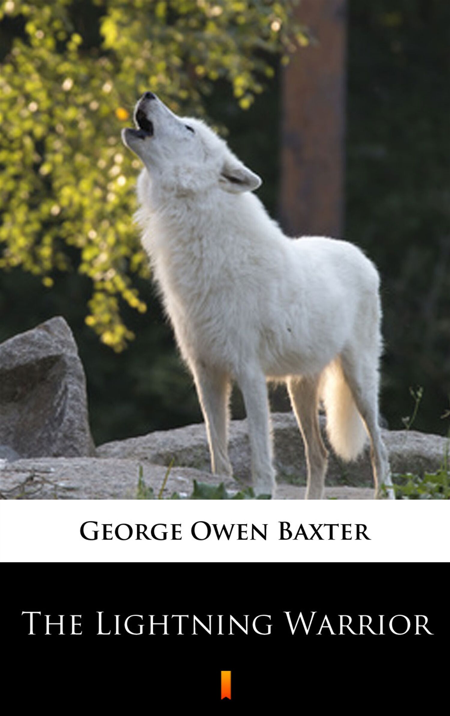 The Lightning Warrior (e-book)