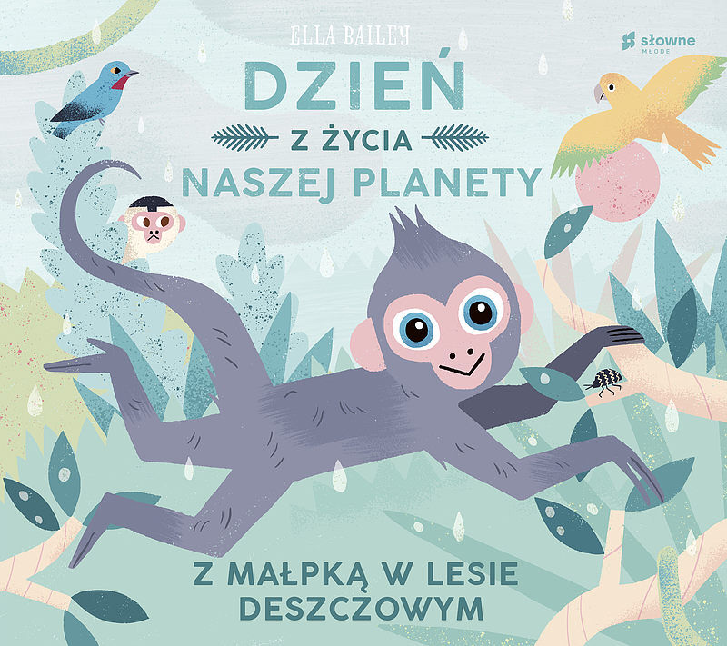 Dzień z życia naszej planety. Z małpką w lesie deszczowym