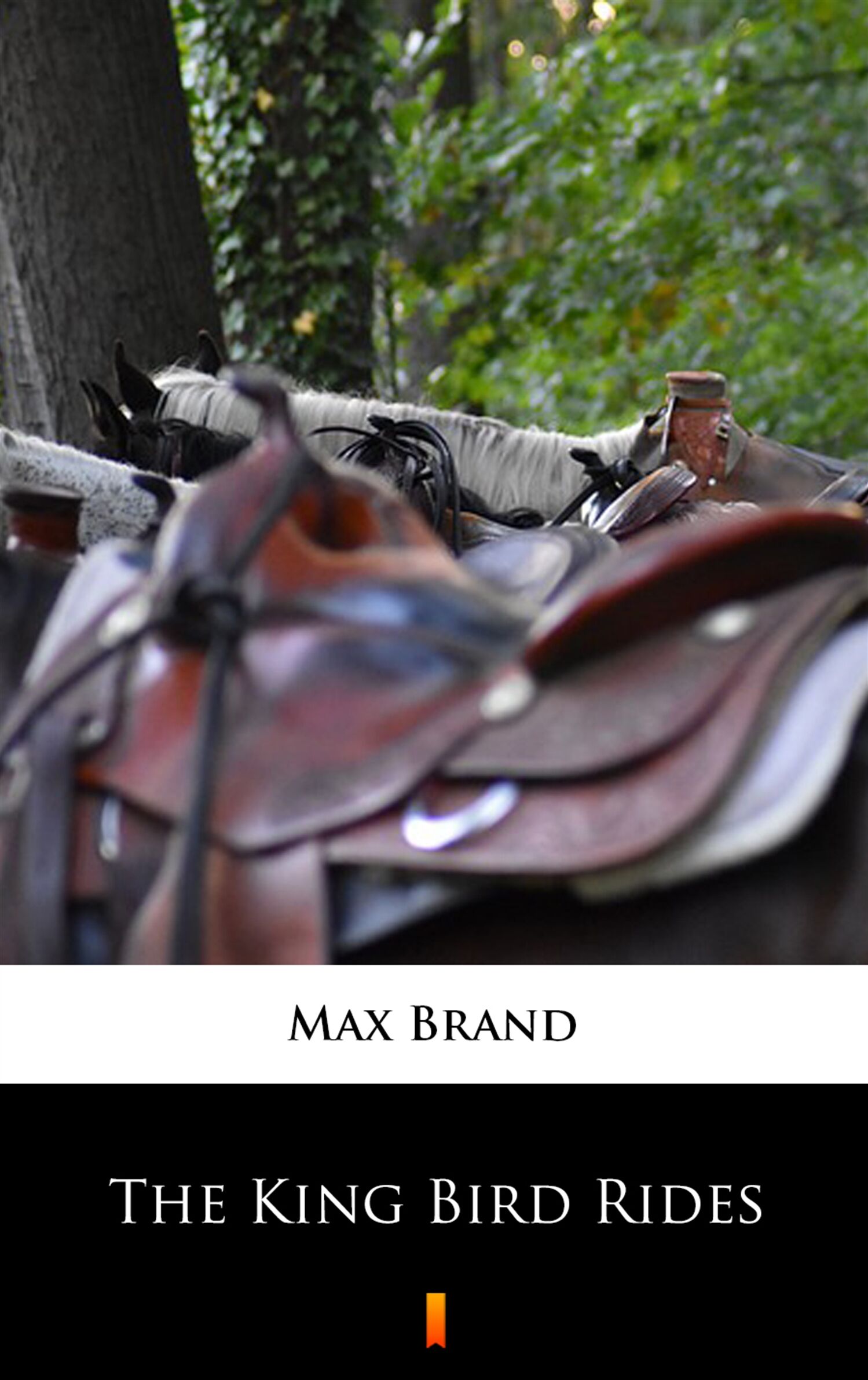 The King Bird Rides (e-book)