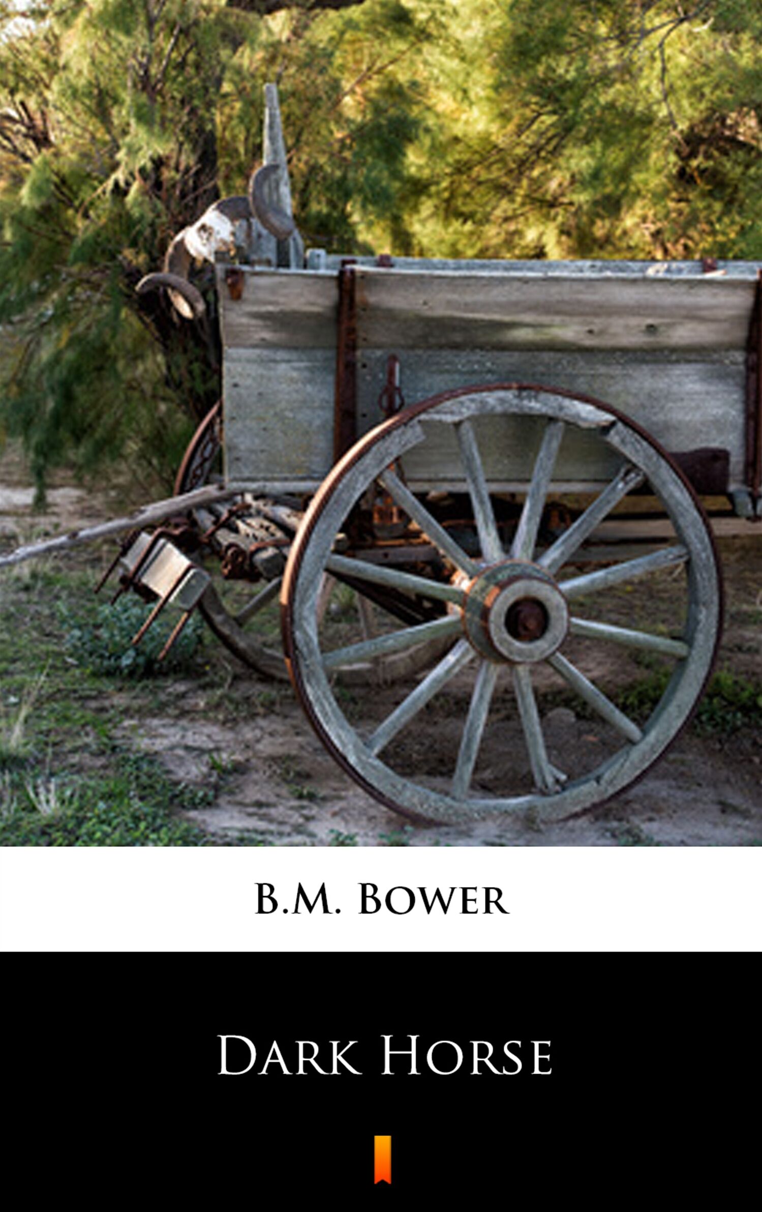 Dark Horse (e-book)