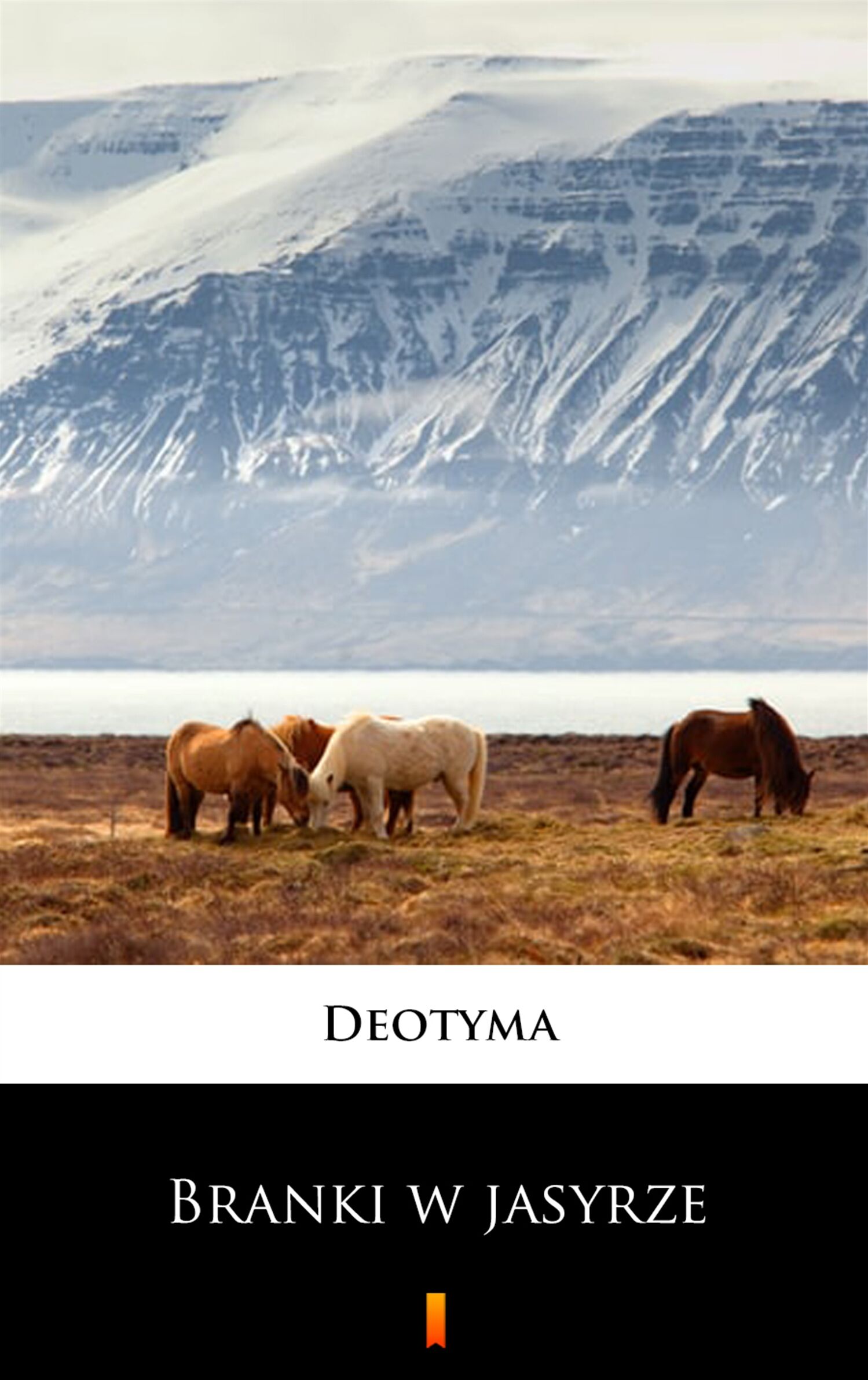 Branki w jasyrze (e-book)