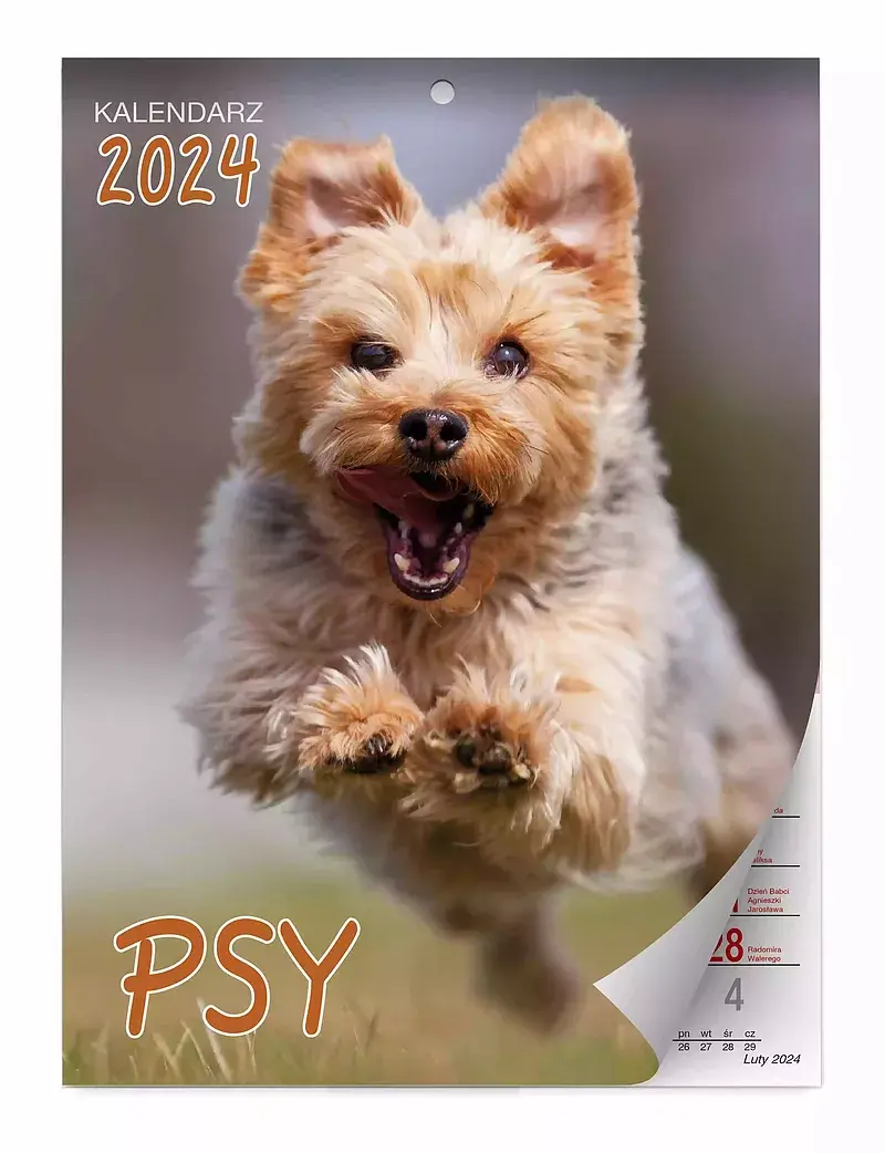 Kalendarz 2024 psy ścienny