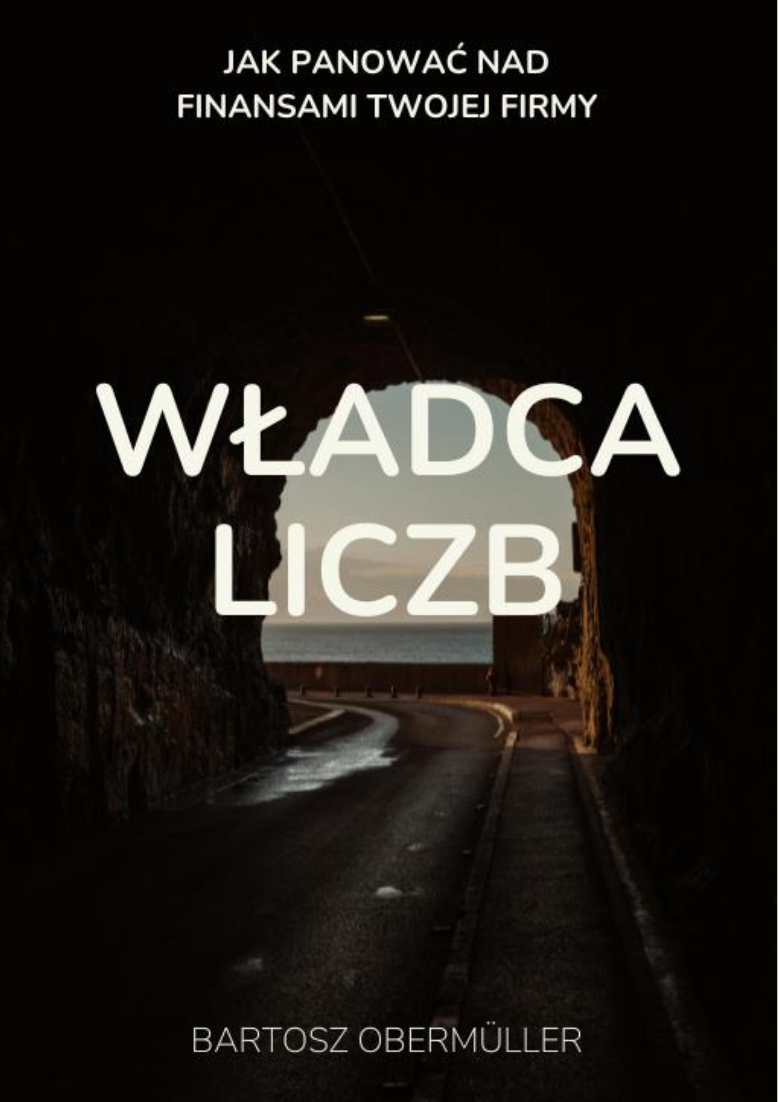 Władca liczb. Jak panować nad finansami Twojej firmy (e-book)