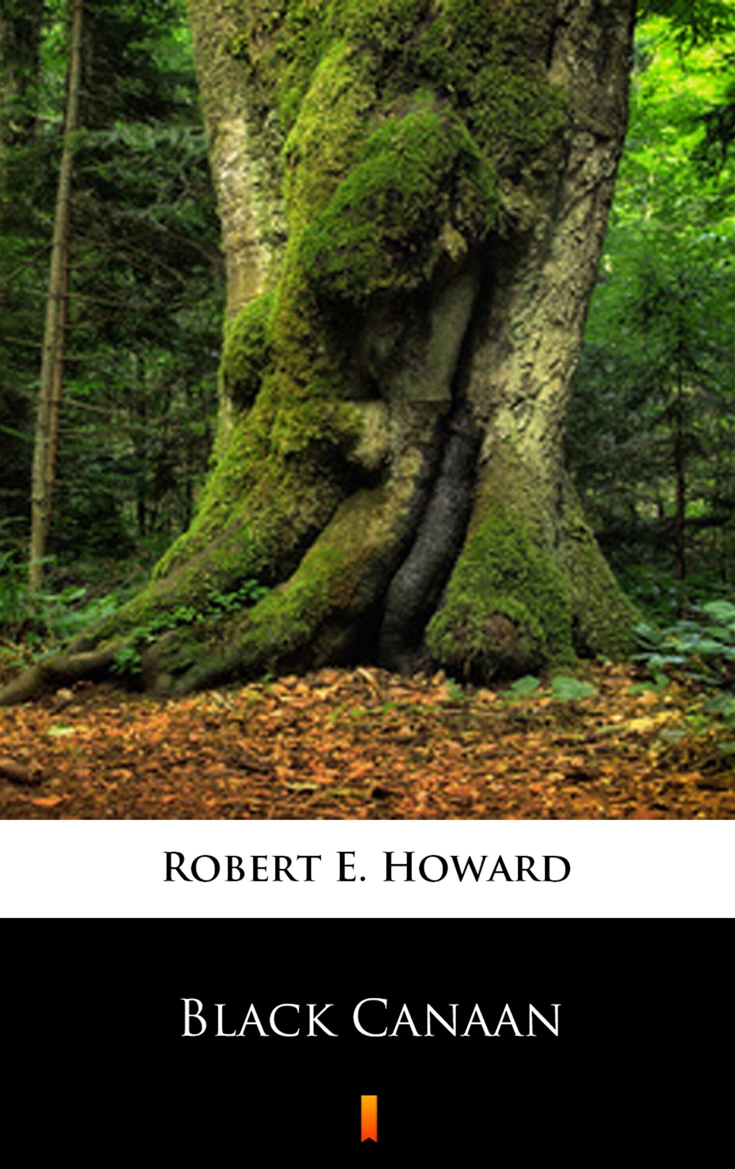 Black Canaan (e-book)
