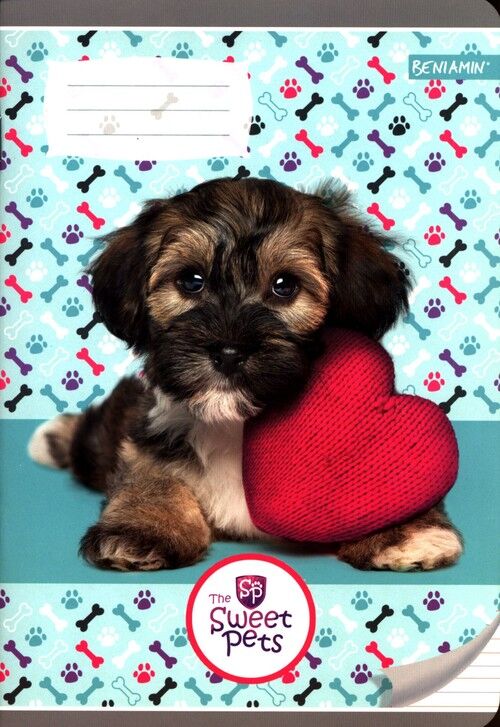 Zeszyt A5 w trzy linie kolorowe 16 kartek Sweet Pets