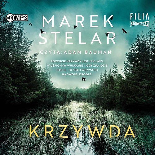 Krzywda (audiobook CD)
