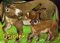 Osiołek