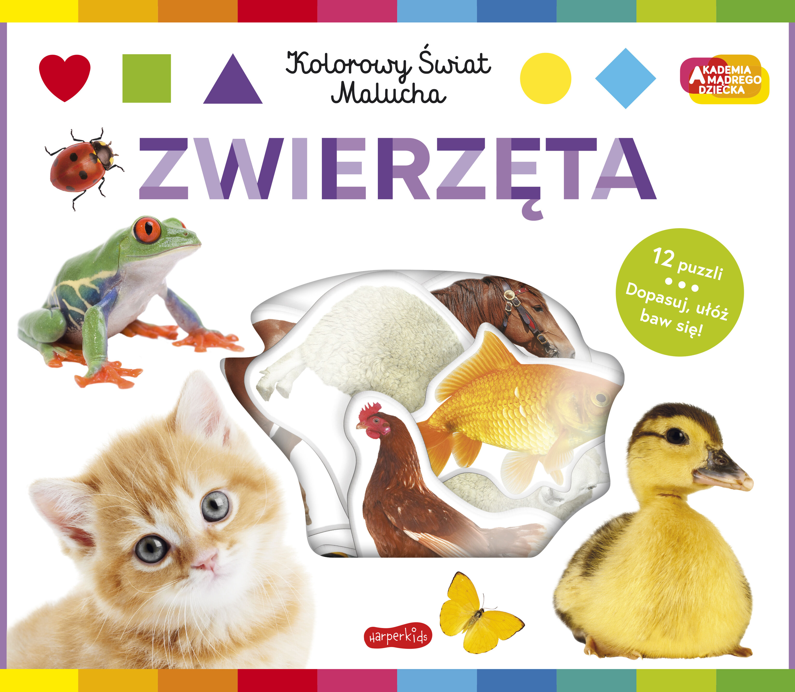 Zwierzęta. Akademia mądrego dziecka. Kolorowy świat malucha