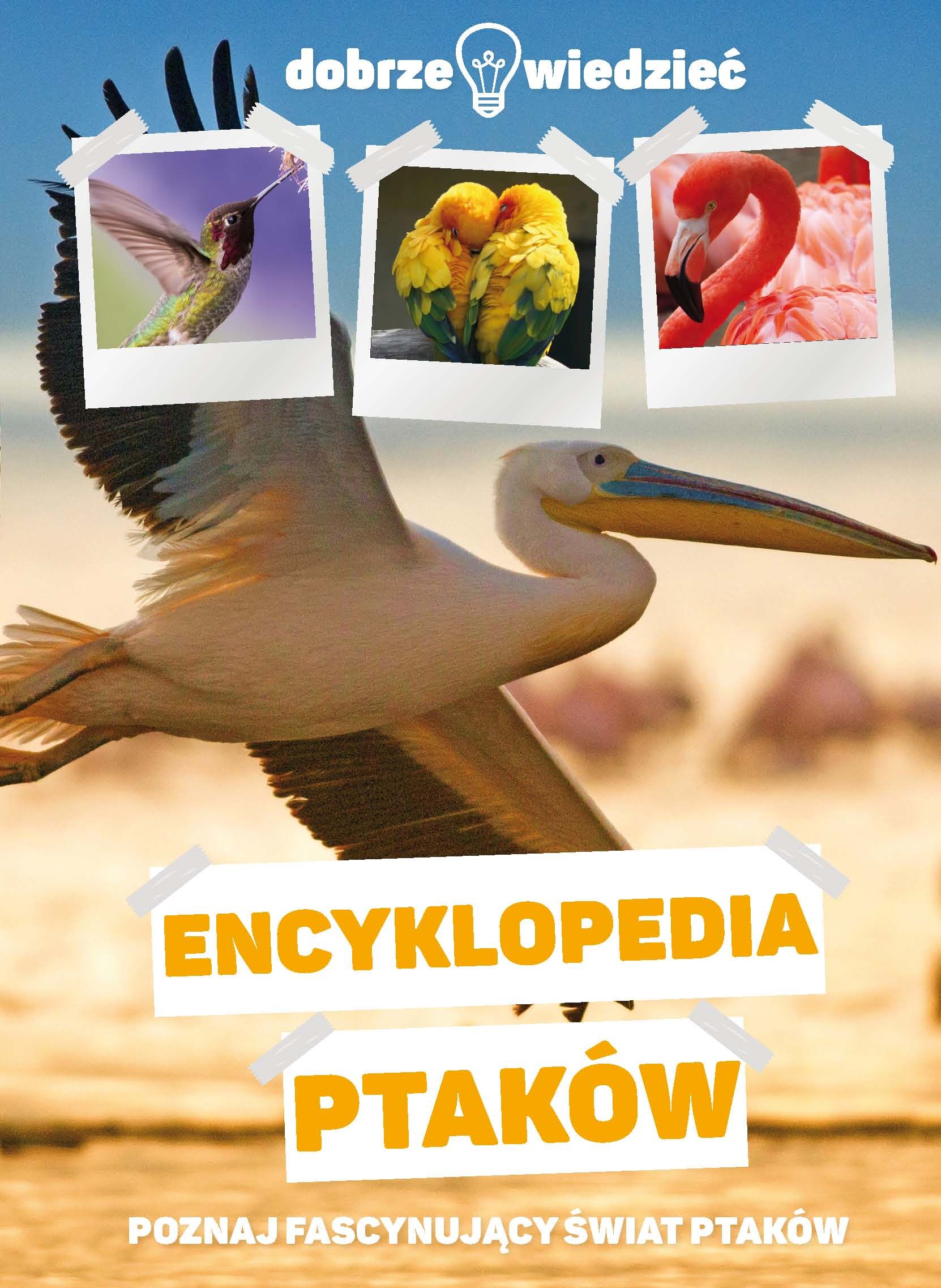 Dobrze wiedzieć. Encyklopedia ptaków