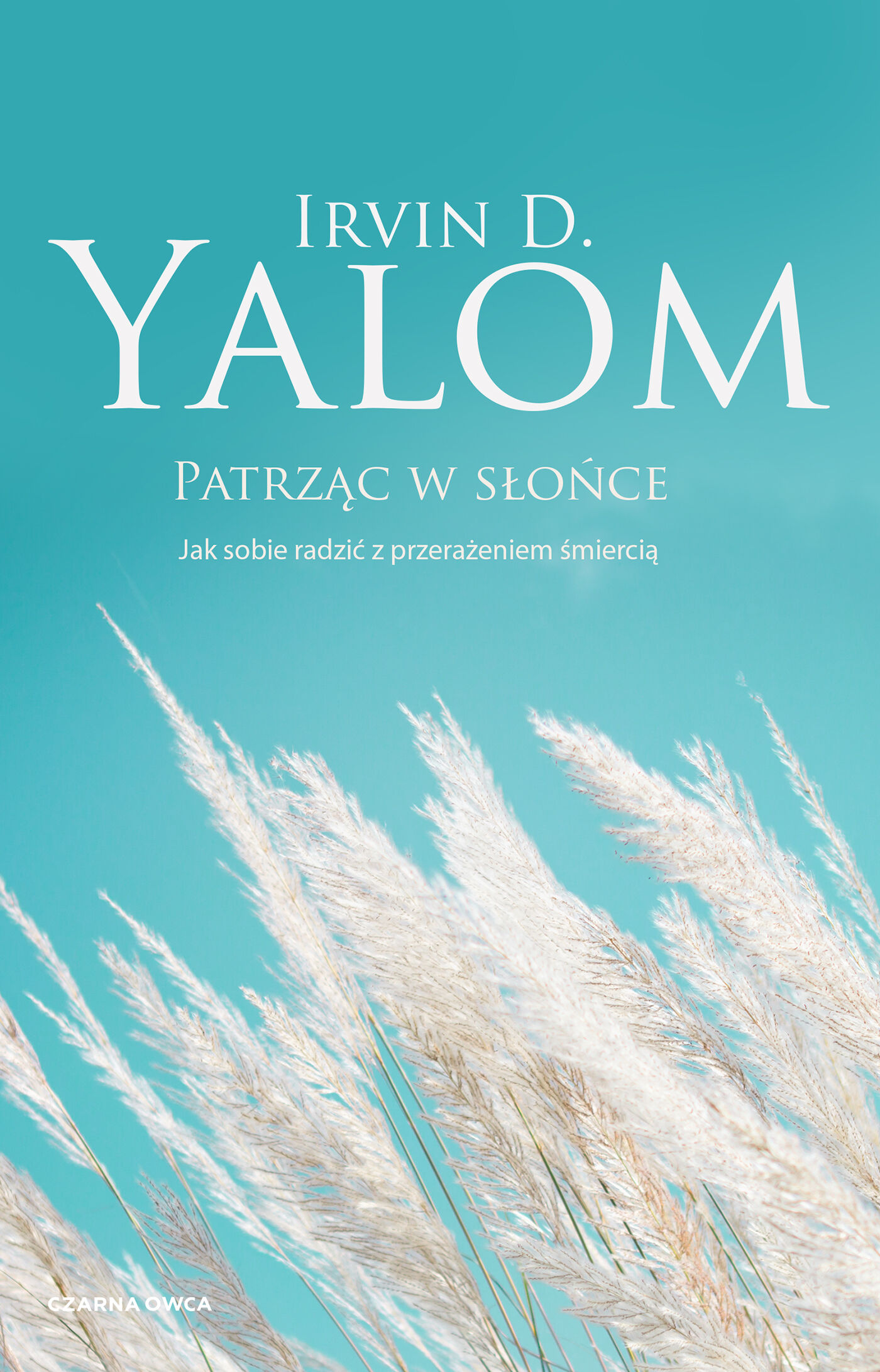 Patrząc w słońce (e-book)