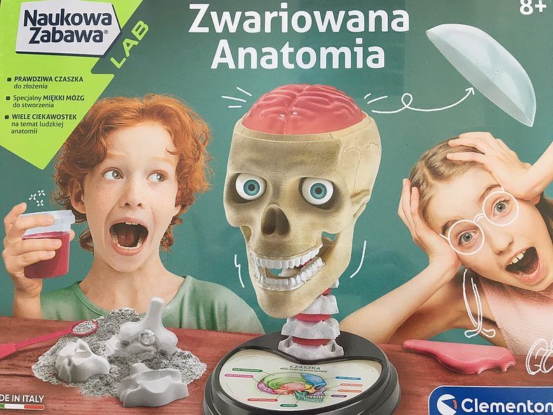 Zwariowana anatomia 50697
