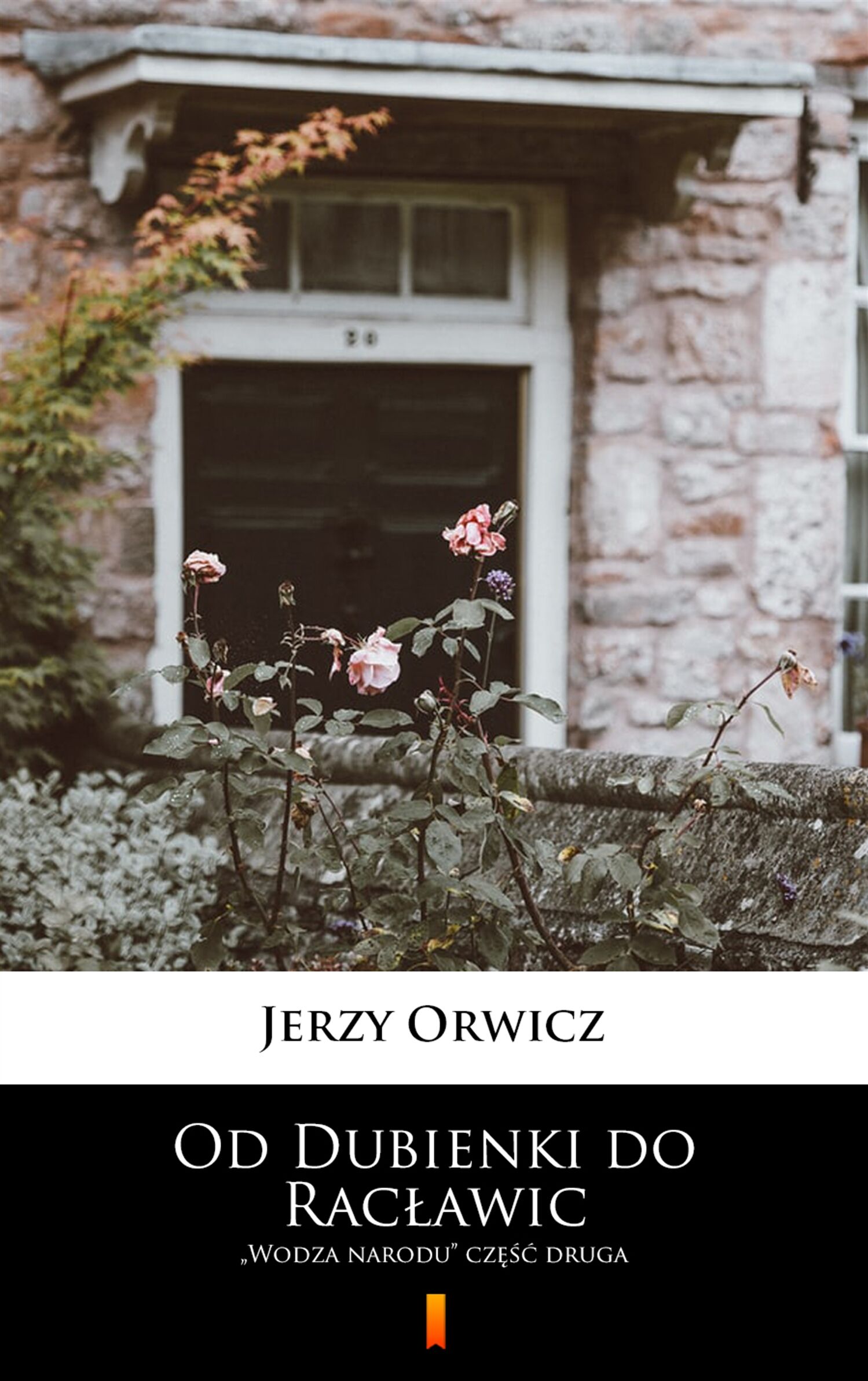 Od Dubienki do Racławic (e-book)