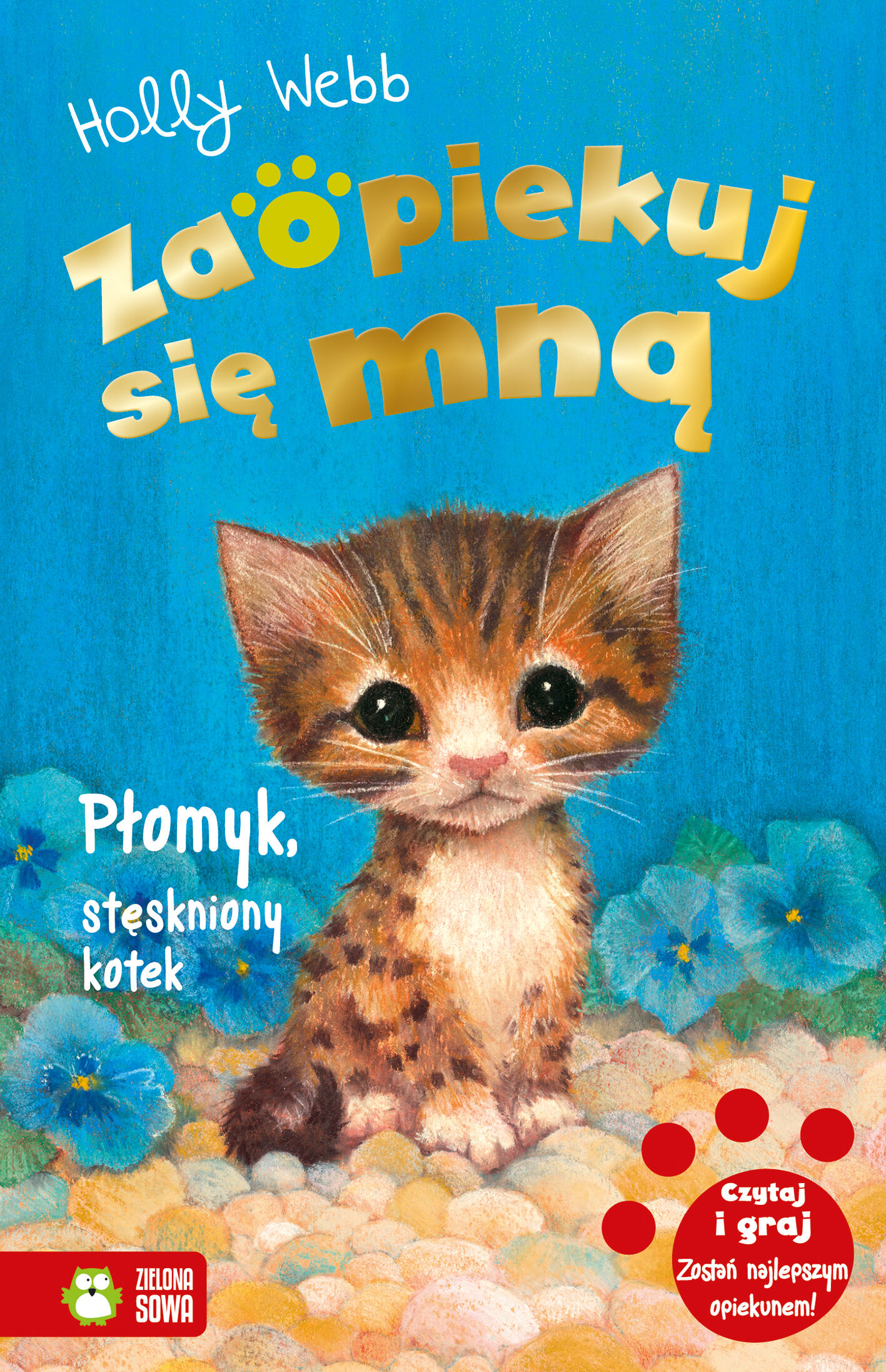 Zaopiekuj się mną. Płomyk, stęskniony kotek