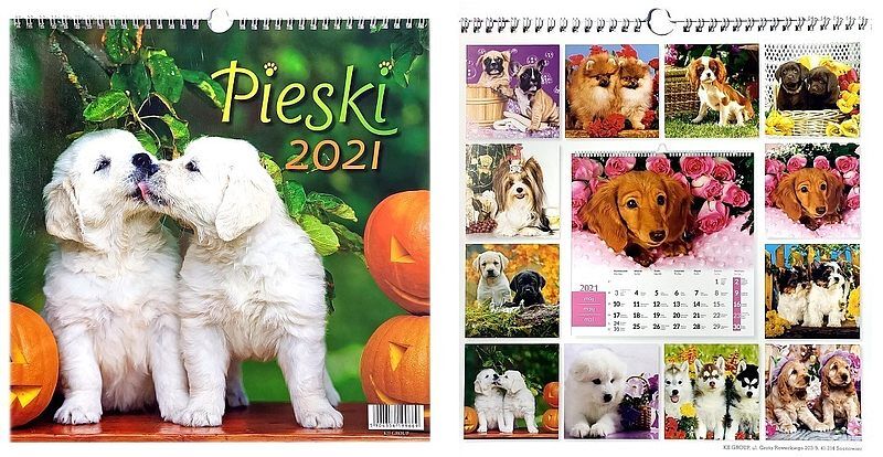 Kalendarz 2021 wieloplanszowy wpk pieski