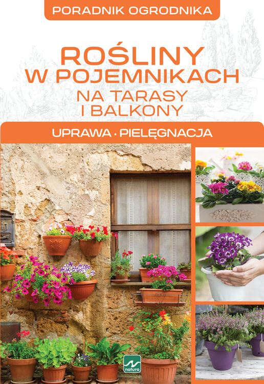 Natura. Rośliny w pojemnikach