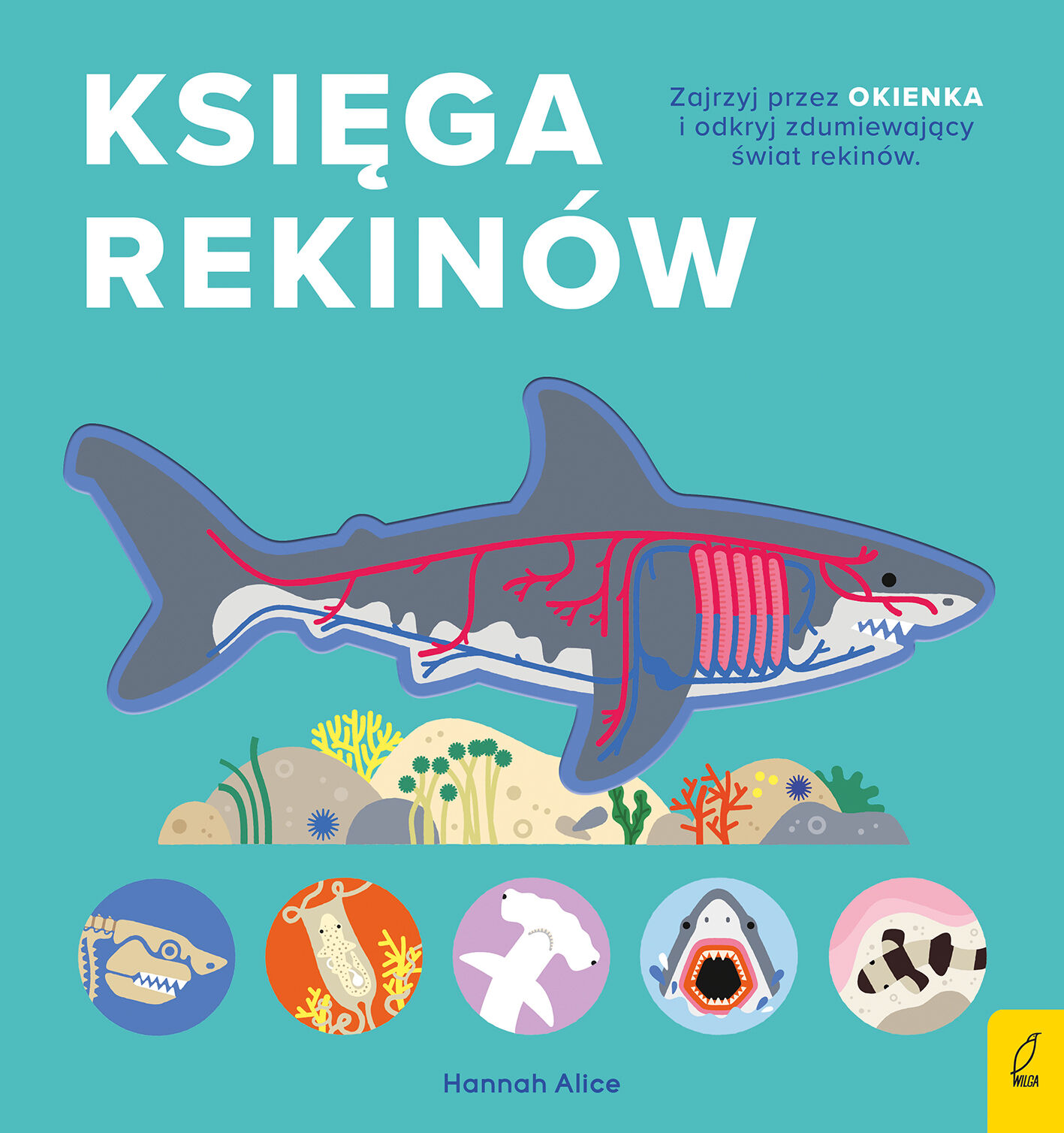 Encyklopedia z folią. Księga rekinów
