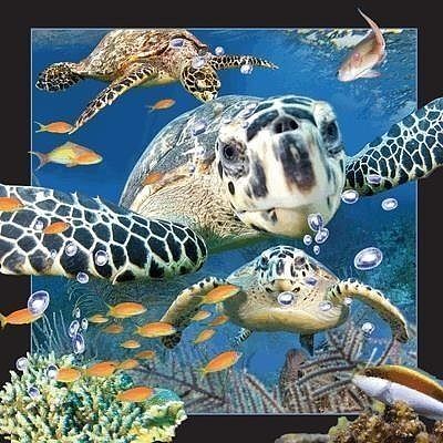 Pocztówka 3d żółw morski
