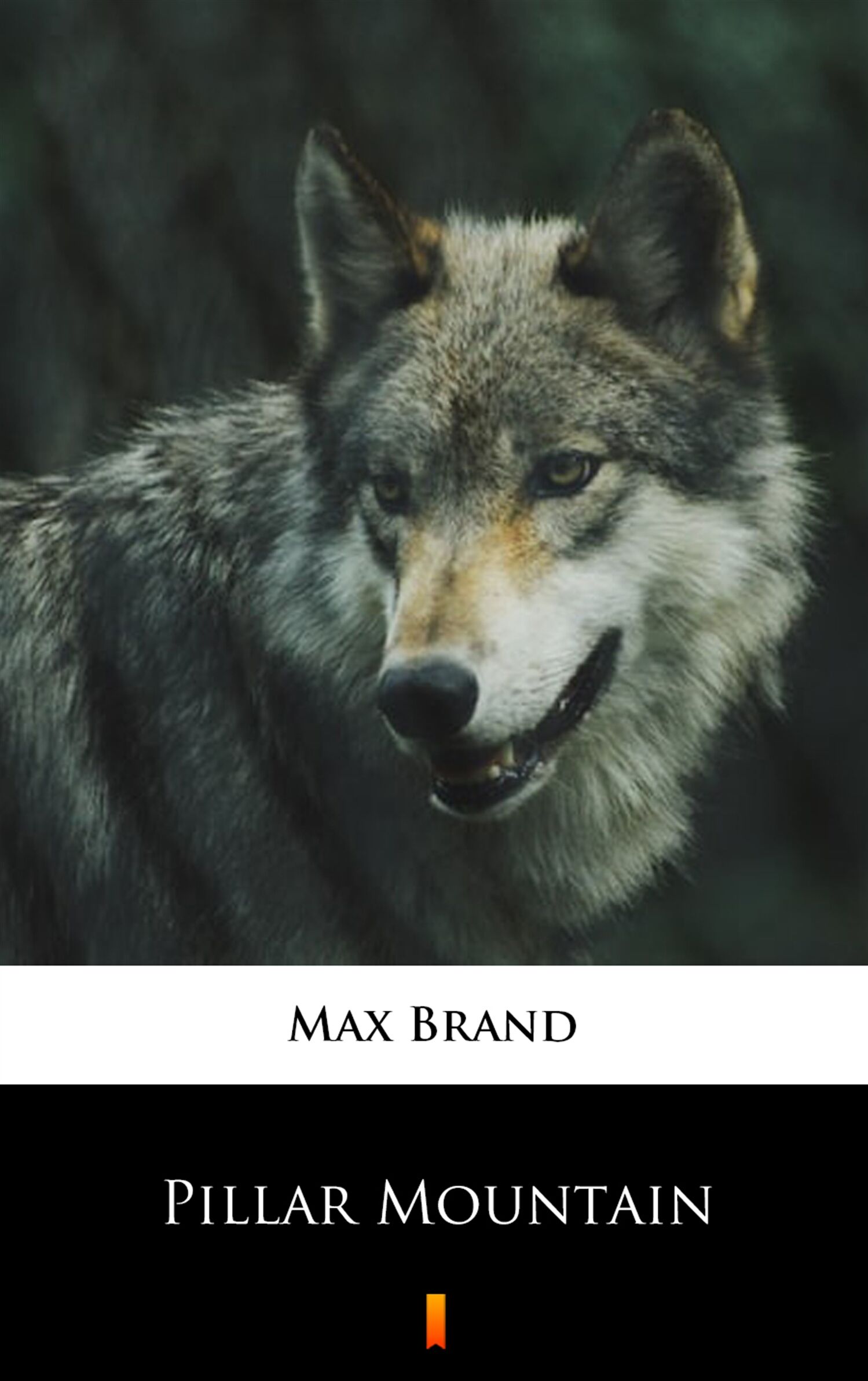 Pillar Mountain (e-book)